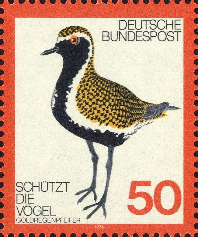 Image:bnd0901.1.big.jpg