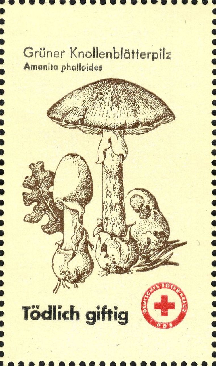 Image:ddr_drksms0008.1.f5.big.jpg