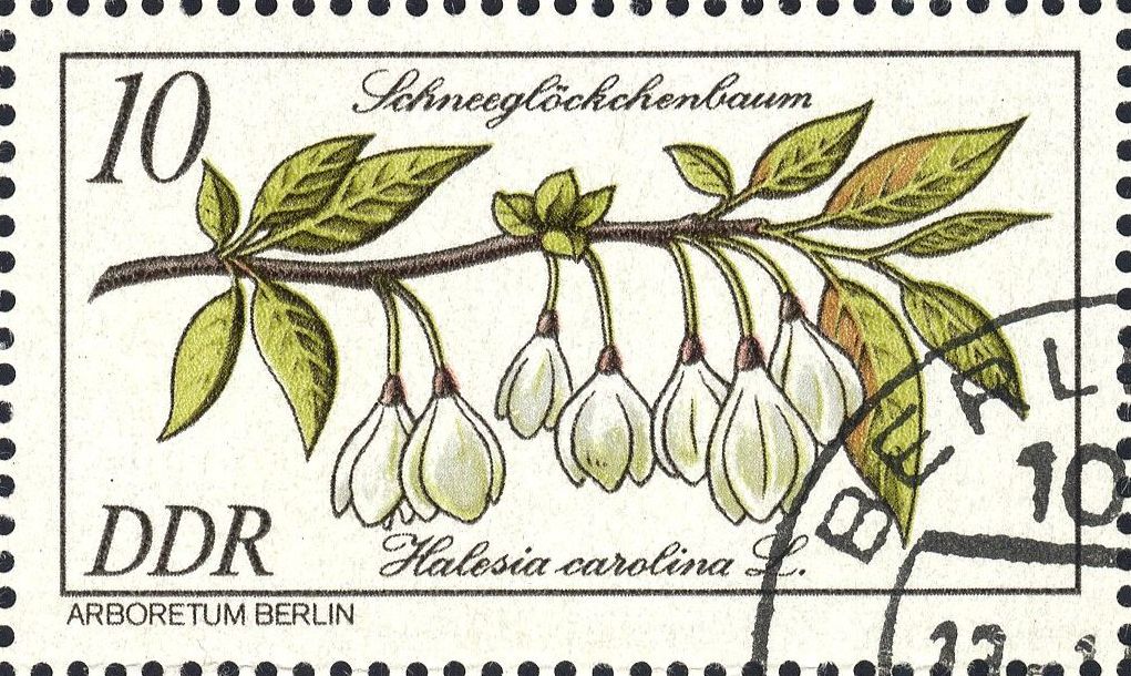 Image:ddr2574.1.big.jpg