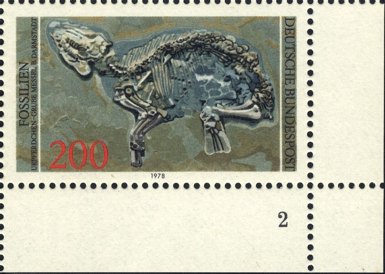 Image:bnd0975.2.big_fn2f50.jpg