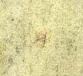 Image:bnd0180xWv.6.small_zpfR5cb.jpg