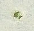 Image:bln0057.1.BGF.small_zpfO4ca.jpg