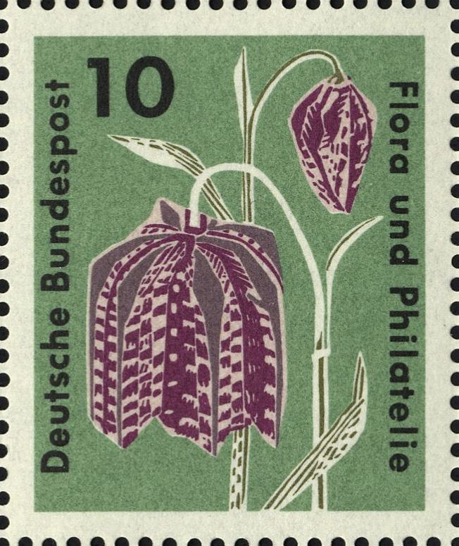 Image:bnd0392.1.big.jpg