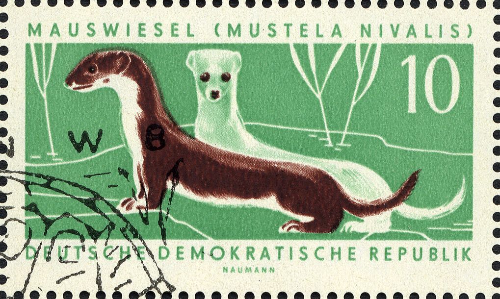 Image:ddr0870.3.big.jpg