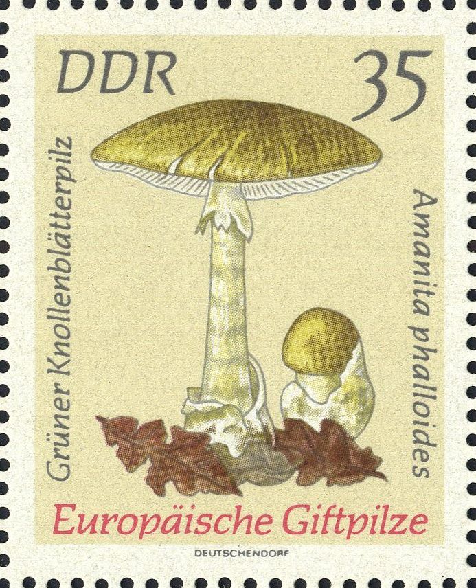 Image:ddr1939.1.big.jpg