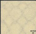 Image:dr0255.1.small_zvf1.jpg
