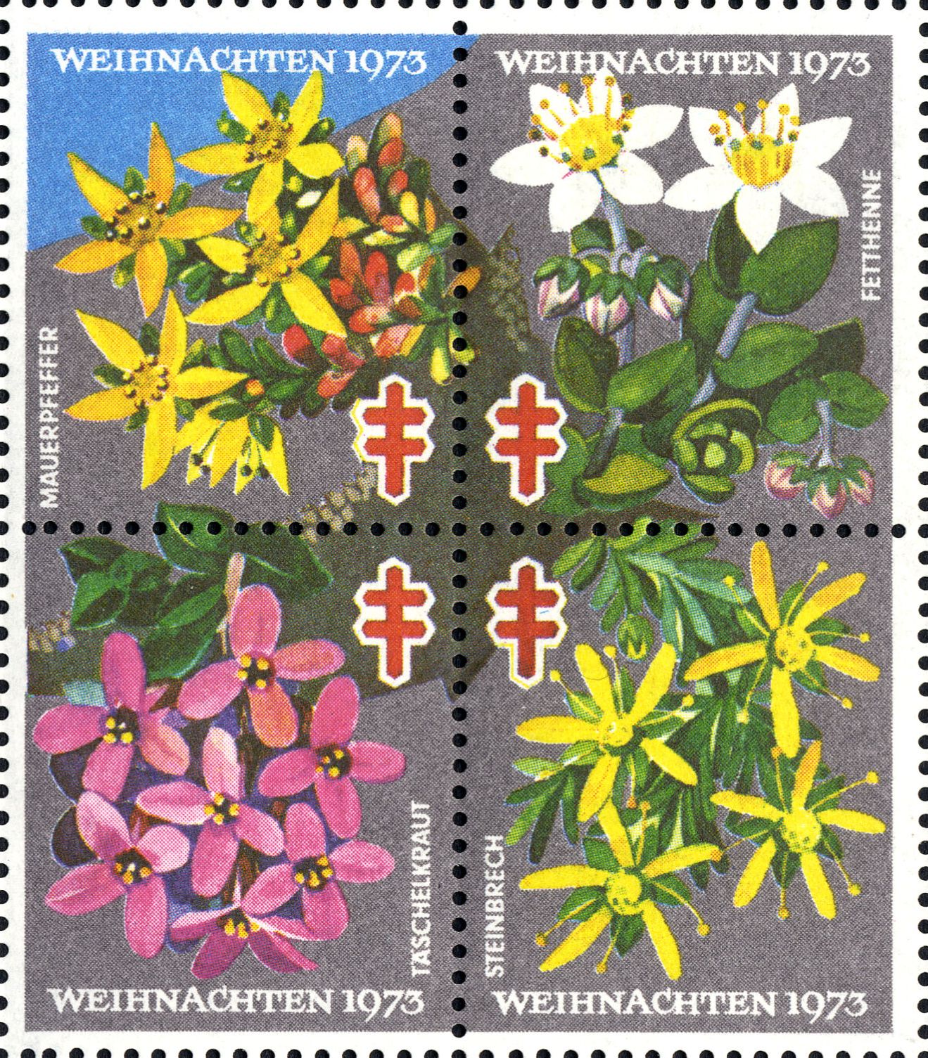 Image:vgn_bnd_wsm1973.1.big.jpg