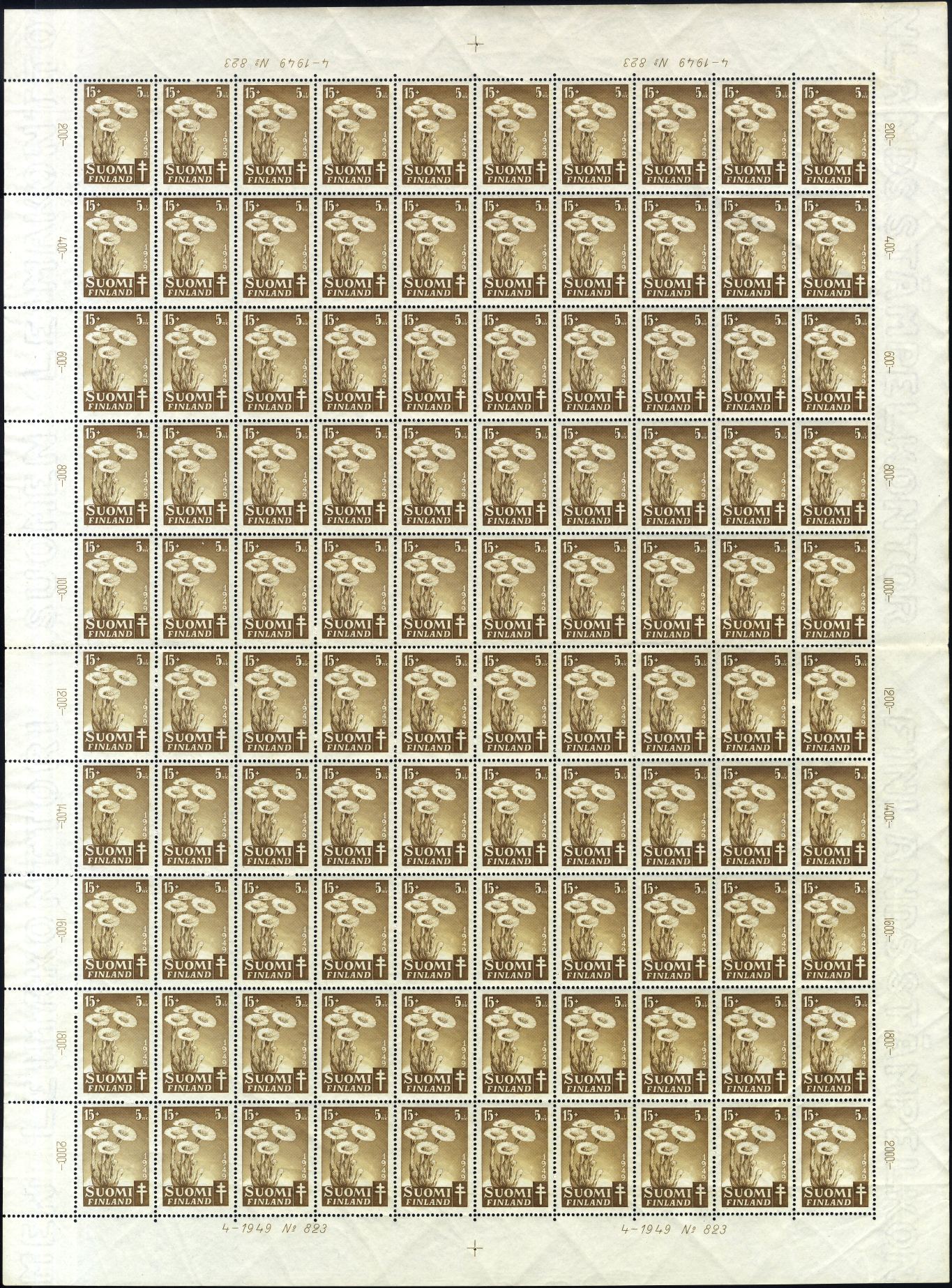 Image:fin0367.1.small_bg1.jpg