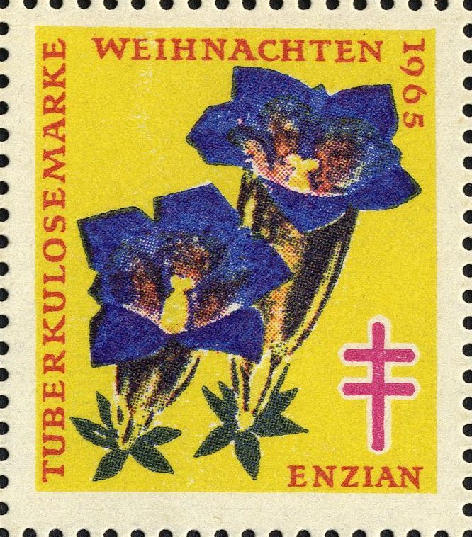 Image:vgn_bnd_wsm1965.1.0048.big.jpg