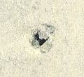Image:bnd0182xWv.4.small_zpfR5ca.jpg