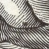 image:ddr0405xXII.2.small_pfIf16of.jpg