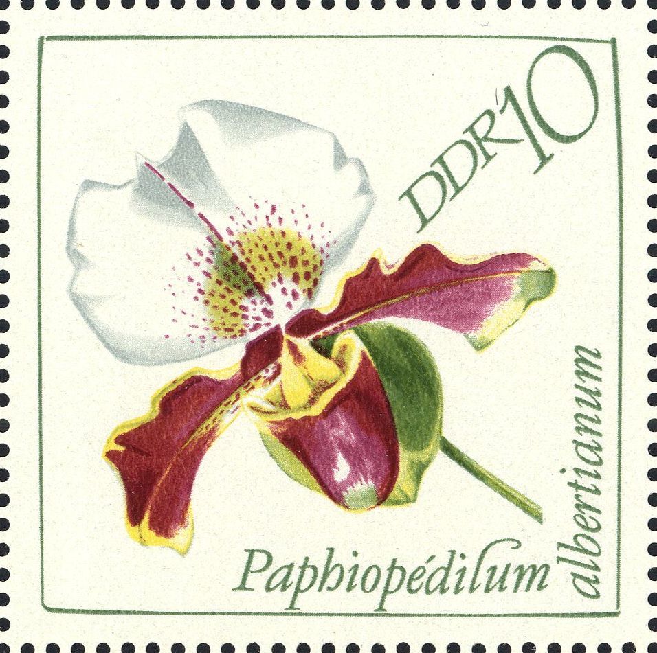 Image:ddr1421.1.big.jpg