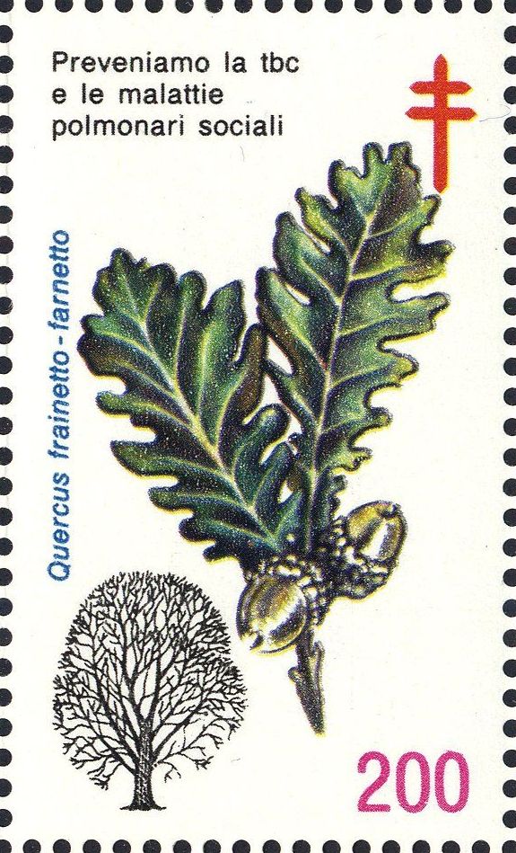 Image:vgn_ita_wsm1989.1.f3.big.jpg