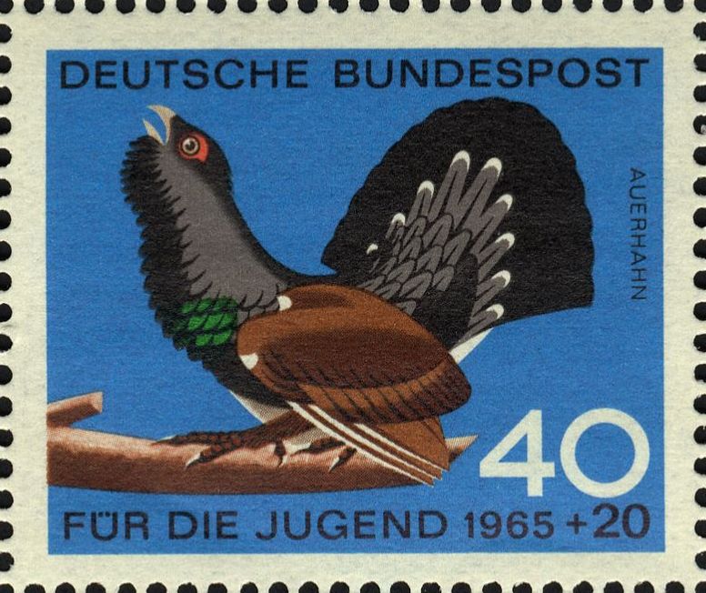 Image:bnd0467.1.big.jpg