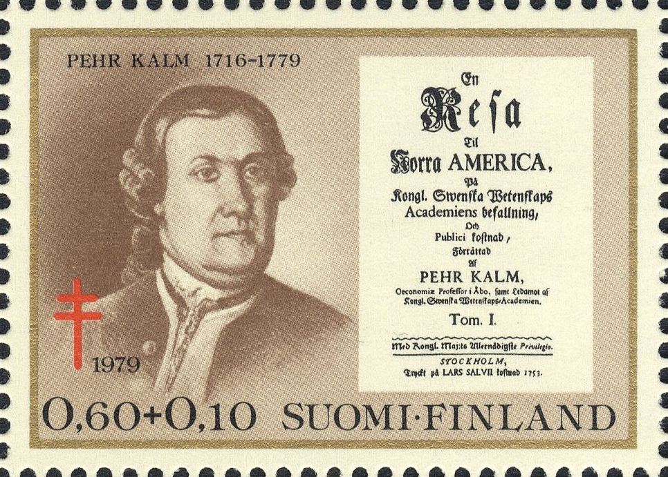 Image:fin0844.1.big.jpg
