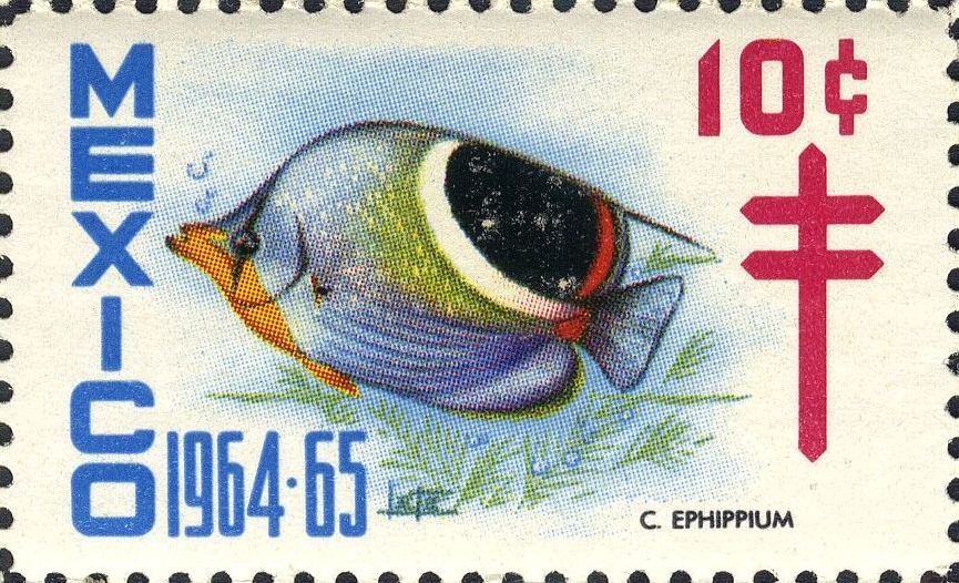 Image:vgn_mex_wsm1964.2.big.jpg