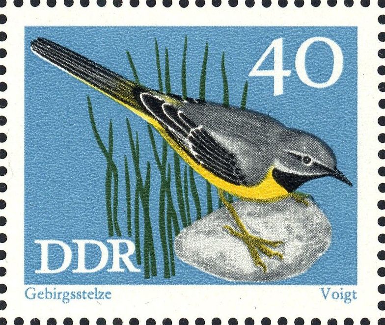 Image:ddr1840.1.big.jpg