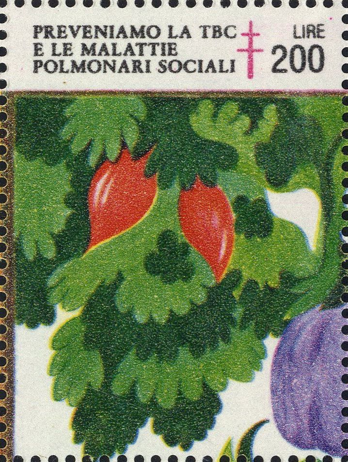 Image:vgn_ita_wsm1986.1.f1.big.jpg