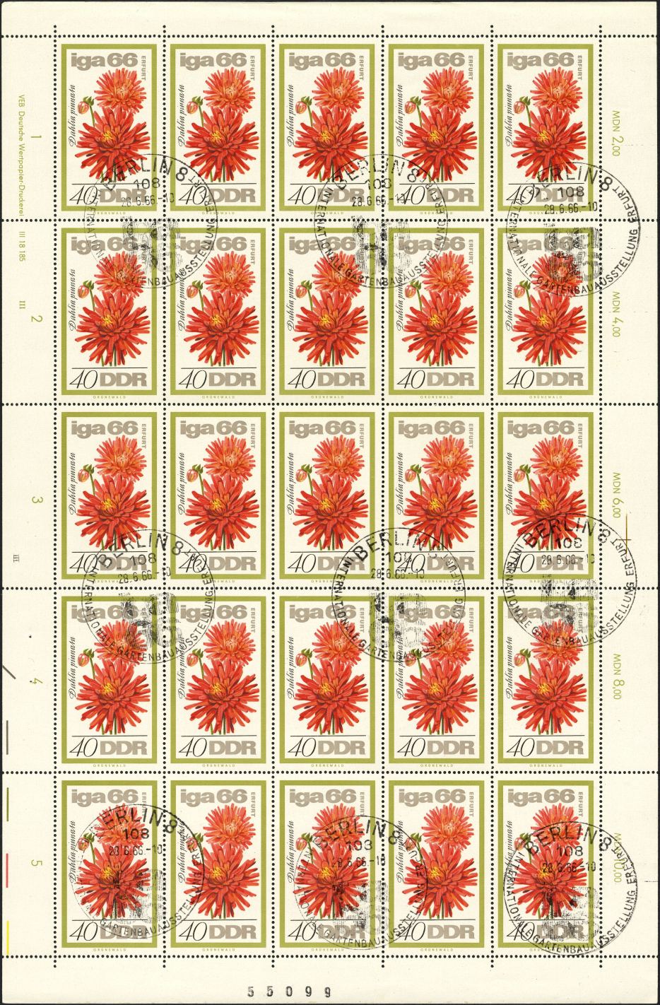 Image:ddr1191.5js.small_bg1.jpg