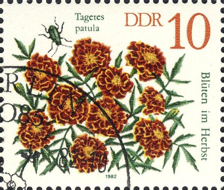 Image:ddr2738.1.big.jpg