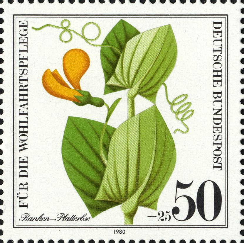 Image:bnd1060.1.big.jpg