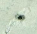 Image:bln0140xw.4.small_zpf96a.jpg