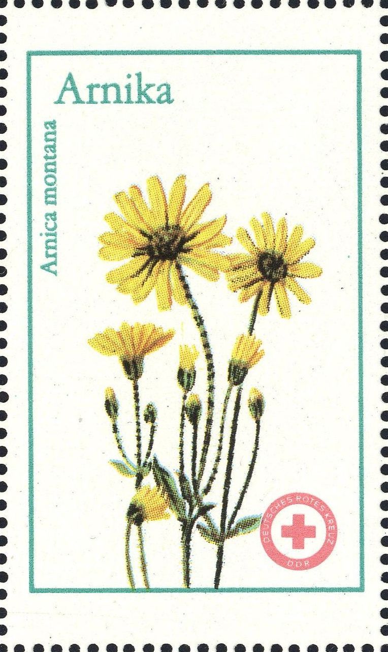 Image:ddr_drksms0006.2.f2.big.jpg