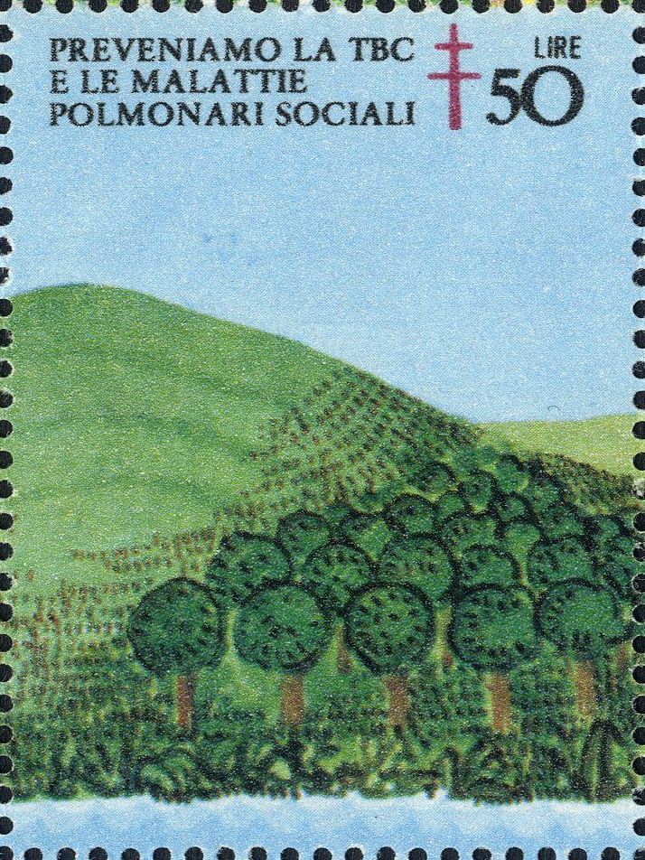 Image:vgn_ita_wsm1980.1.f2.big.jpg