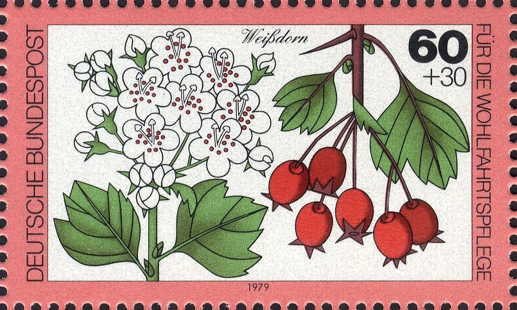 Image:bnd1026.1.big.jpg