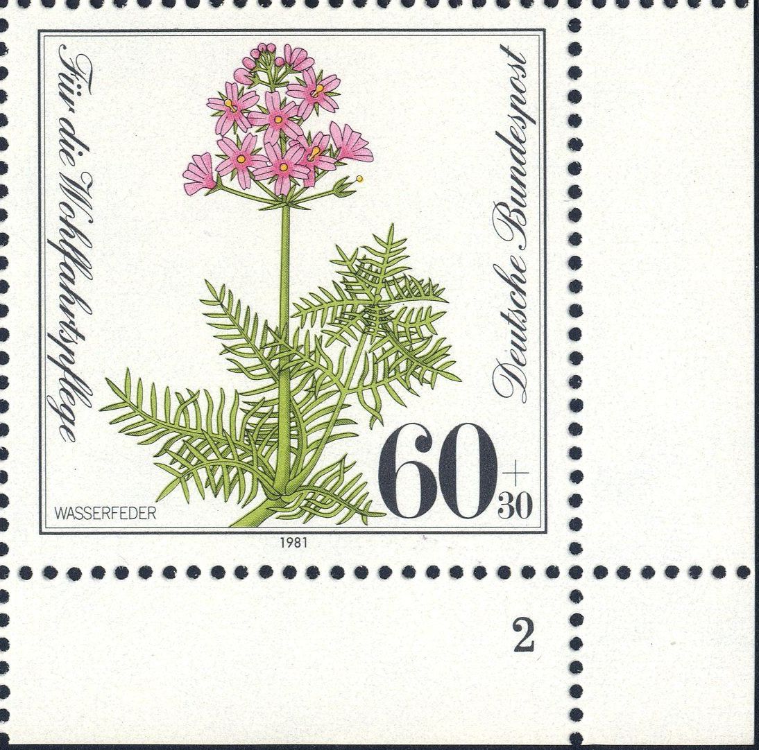 Image:bnd1110.2.big_fn2f25.jpg