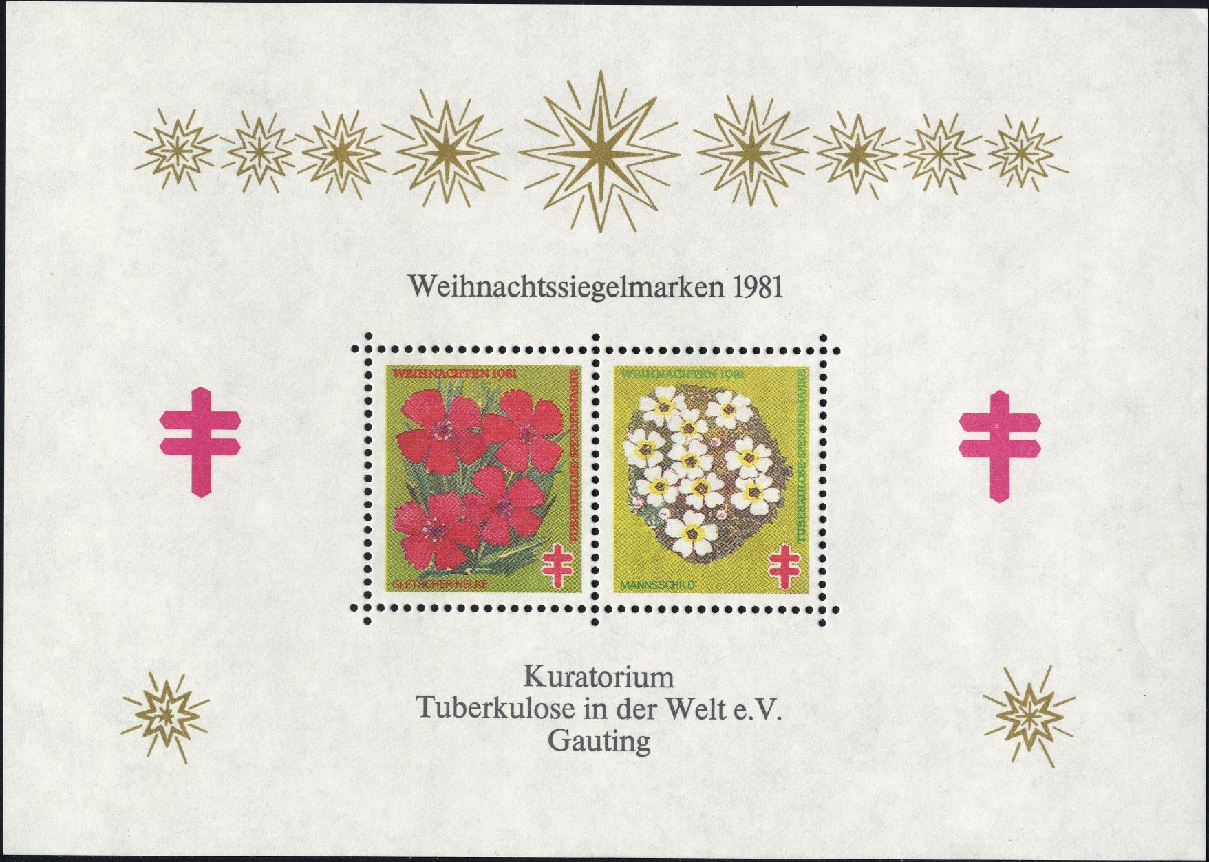 Image:vgn_bnd_wsm1981B.4.small_bg1.jpg