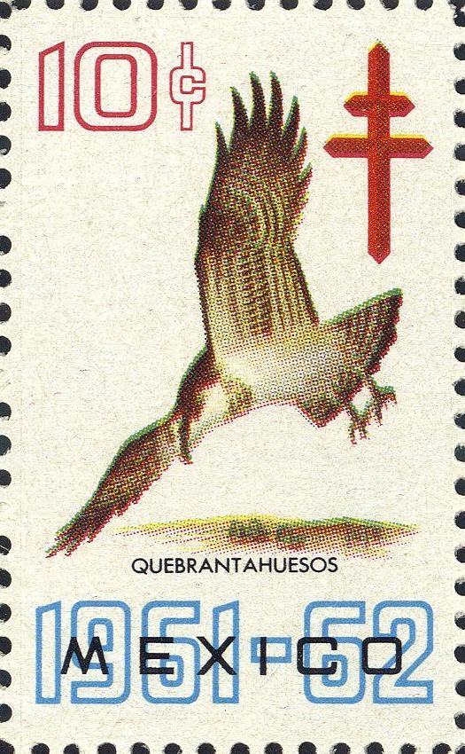 Image:vgn_mex_wsm1961.3.f2.big.jpg