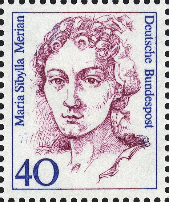 Image:bnd1331.1.big.jpg