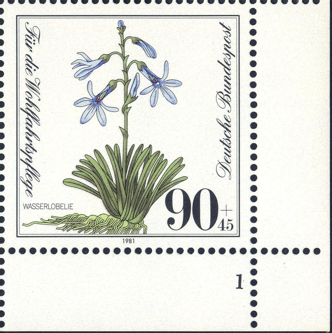 Image:bnd1111.3.big_fn1f25.jpg