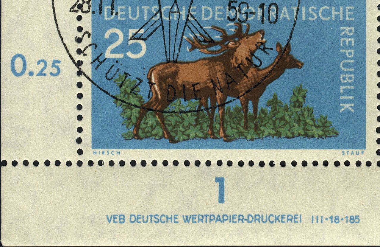 Image:ddr0740.8.big_dvf46.jpg