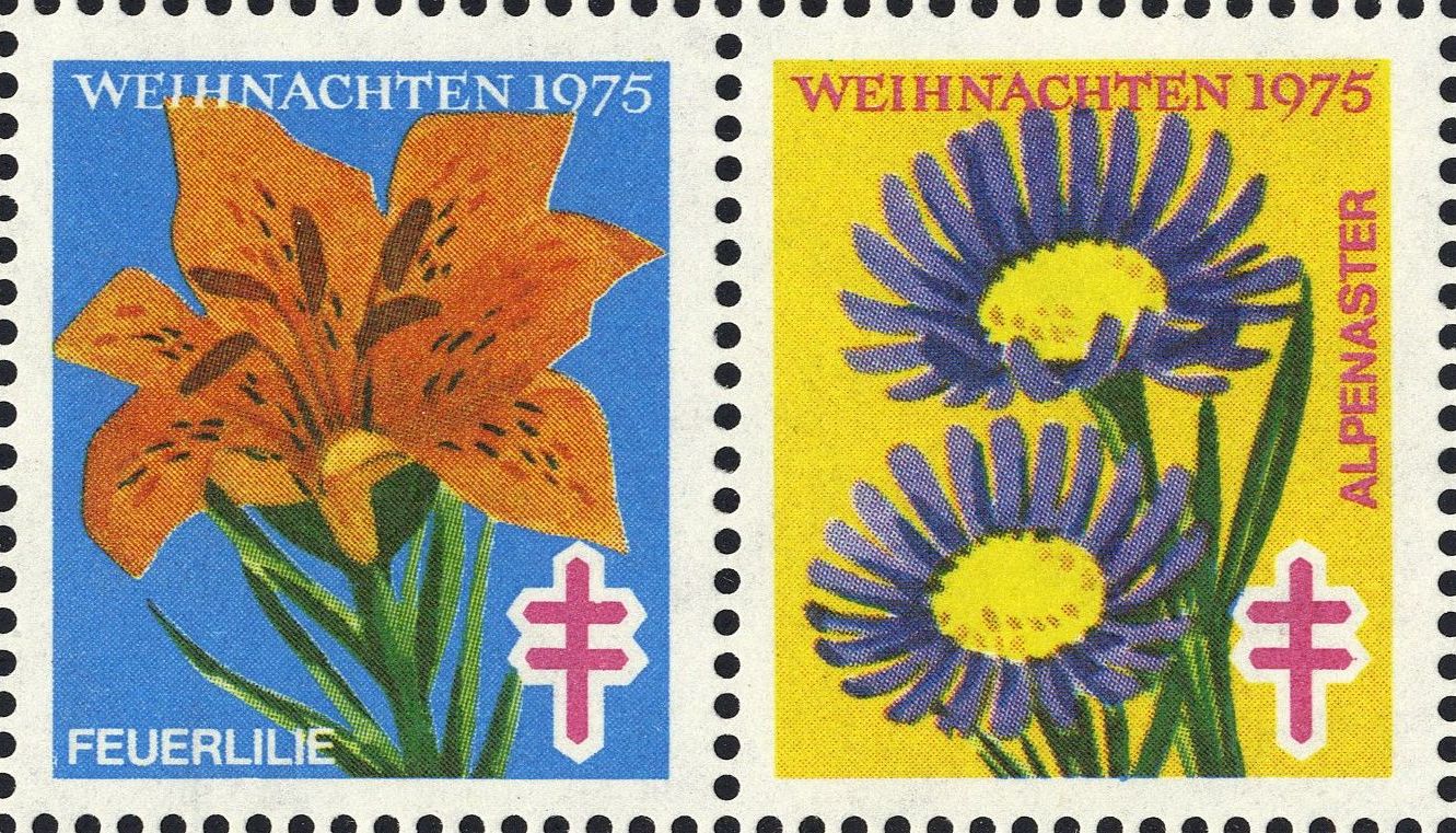 Image:vgn_bnd_wsm1975B.2.big.jpg
