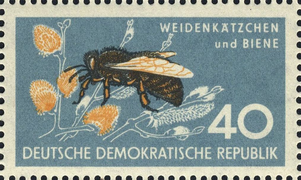 Image:ddr0692.1.big.jpg