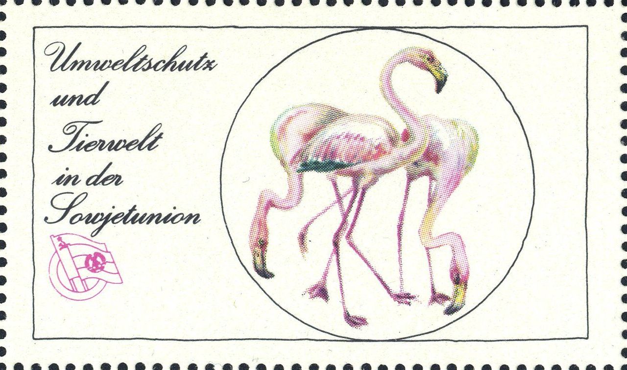 Image:ddr_dsfsms1973.1.f23.big.jpg