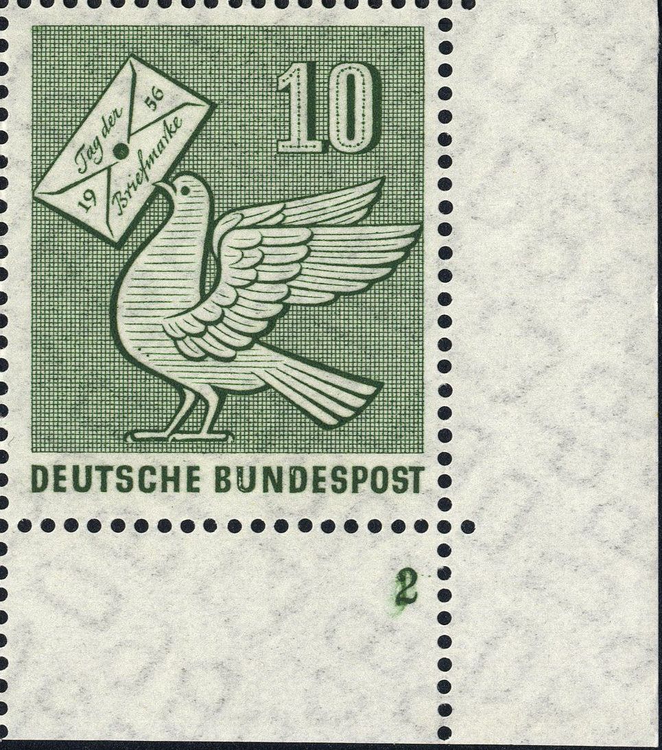 Image:bnd0247.4.big_fn2f50.jpg