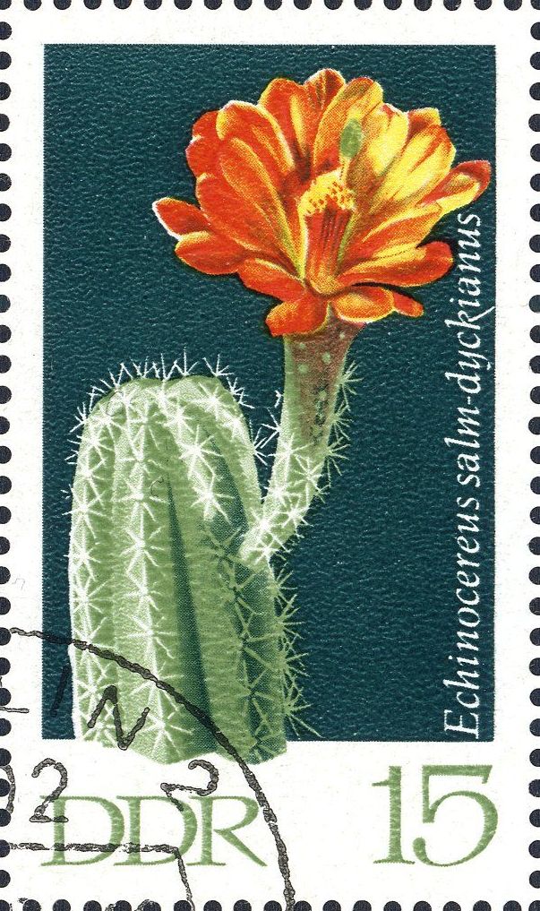 Image:ddr1627.1.big.jpg