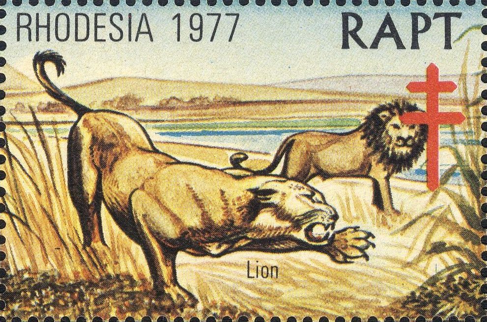 Image:vgn_rhzw_wsm1977.1.f3.big.jpg