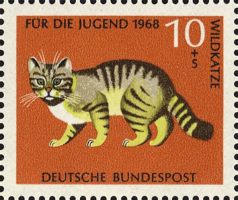 Image:bnd0549.3.big.jpg