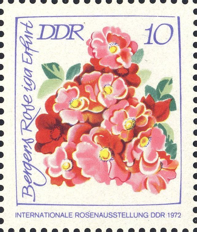 Image:ddr1778.1.big.jpg