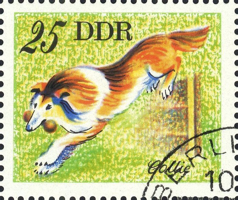 Image:ddr2158.1.big.jpg