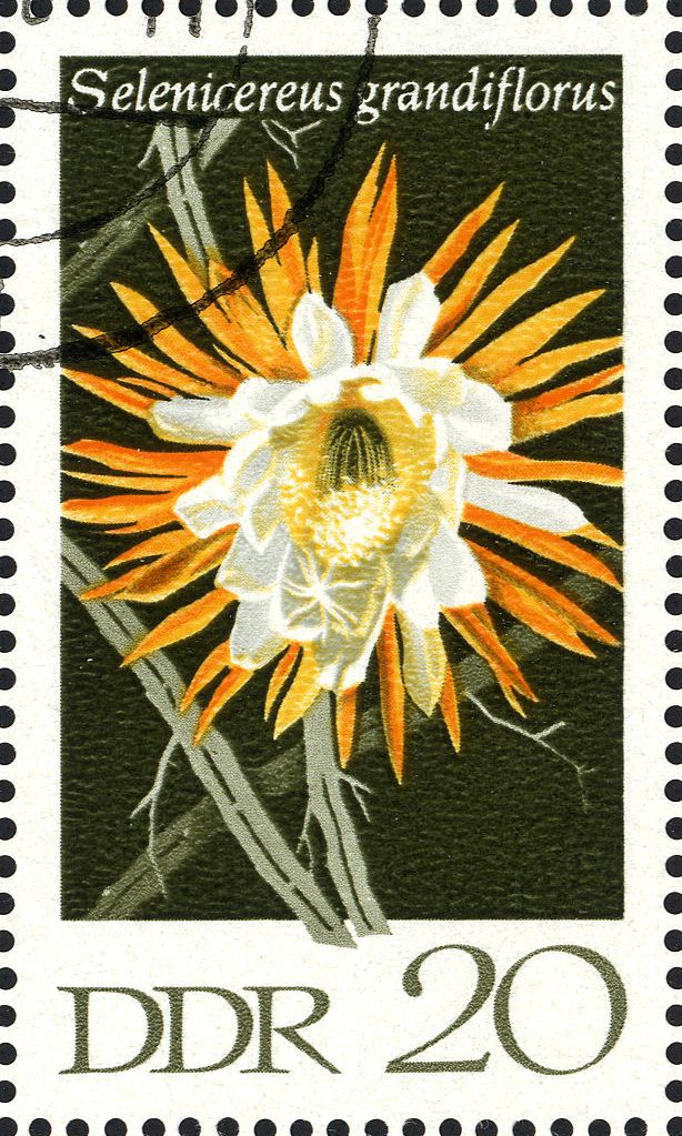 Image:ddr1628.1.big.jpg