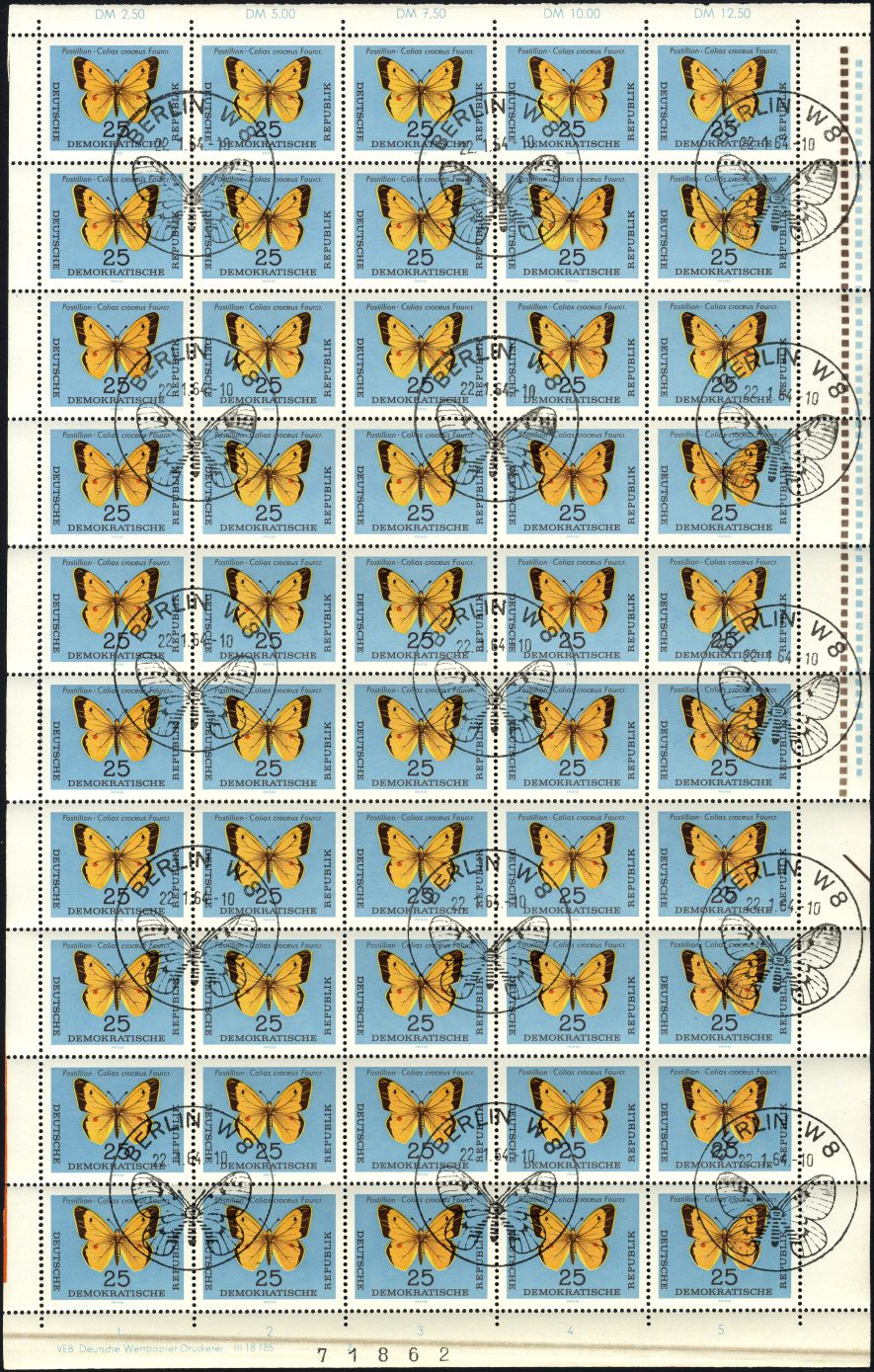 Image:ddr1007.1.small_bg1.jpg