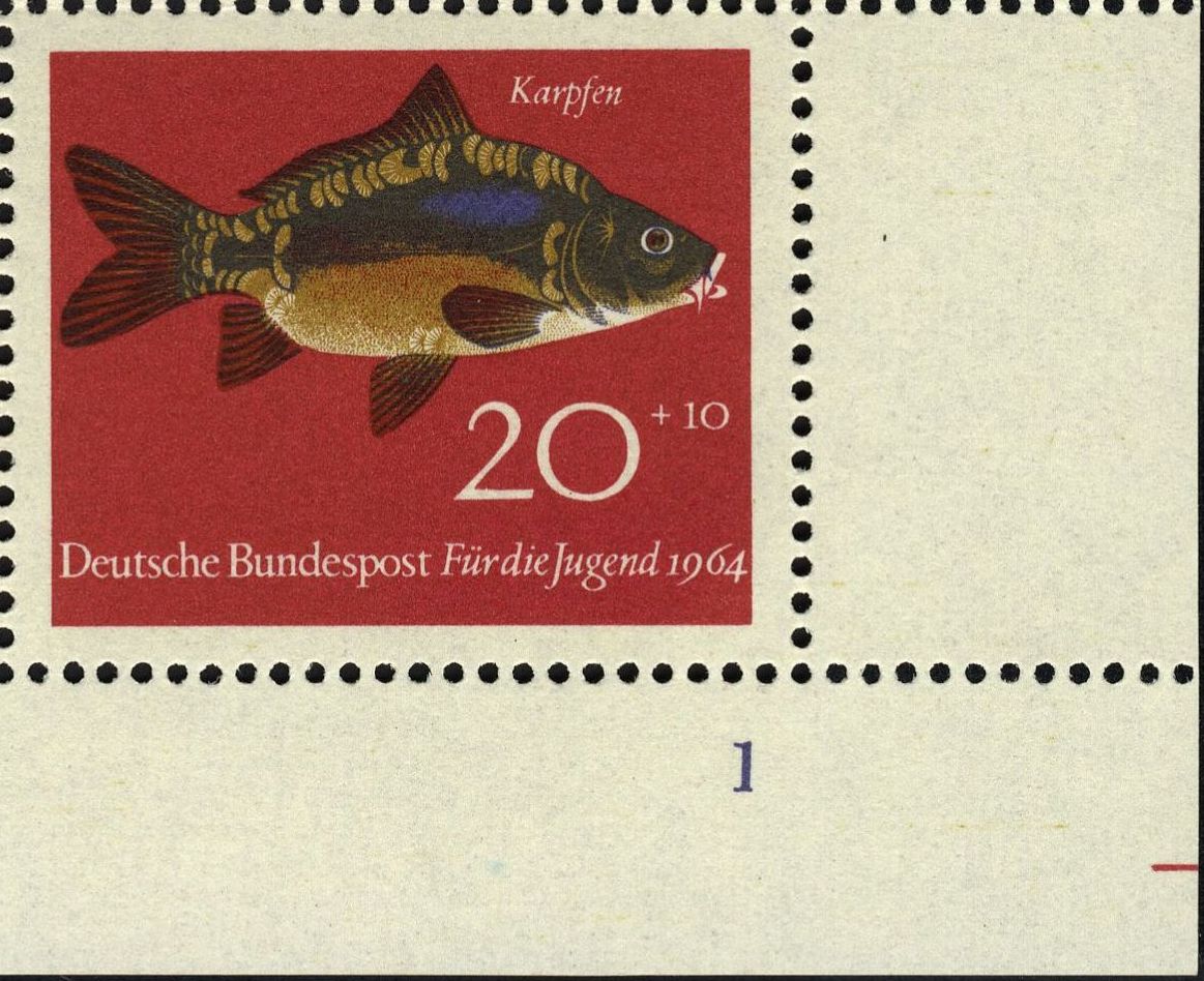 Image:bnd0414.1.big_fn1f50.jpg