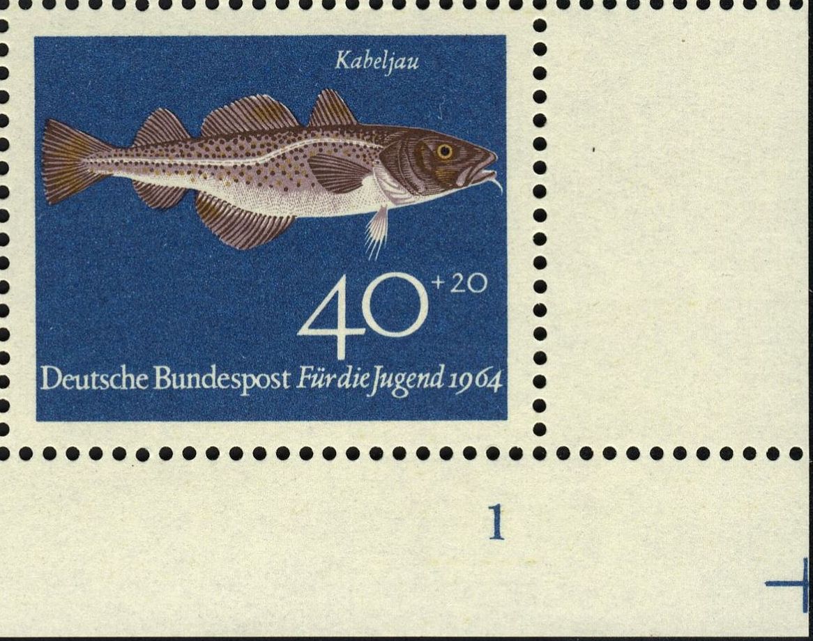 Image:bnd0415.1.big_fn1f50.jpg