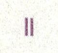 Image:ddr2095.2.small_fnIIfU3aa.jpg