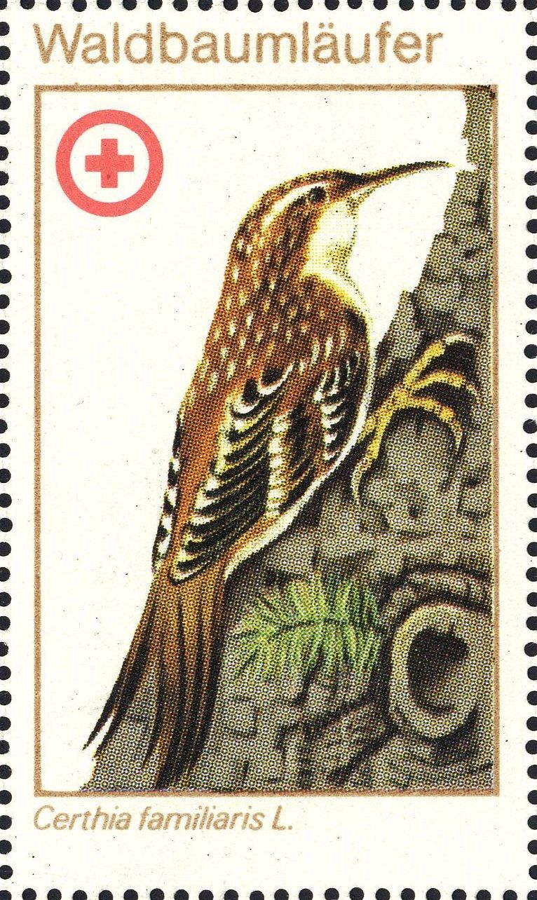 Image:ddr_drksms0009.1.f3.big.jpg